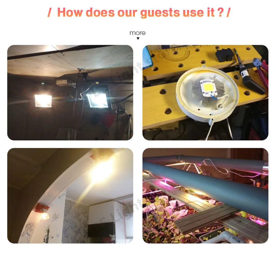 LED Chip COB 50W LED Bulb High Power LED 220V 10W 20W 30W 5W Light Bulbs Lamp 220V LED Matrix for Outdoor Floodlight Spotlight