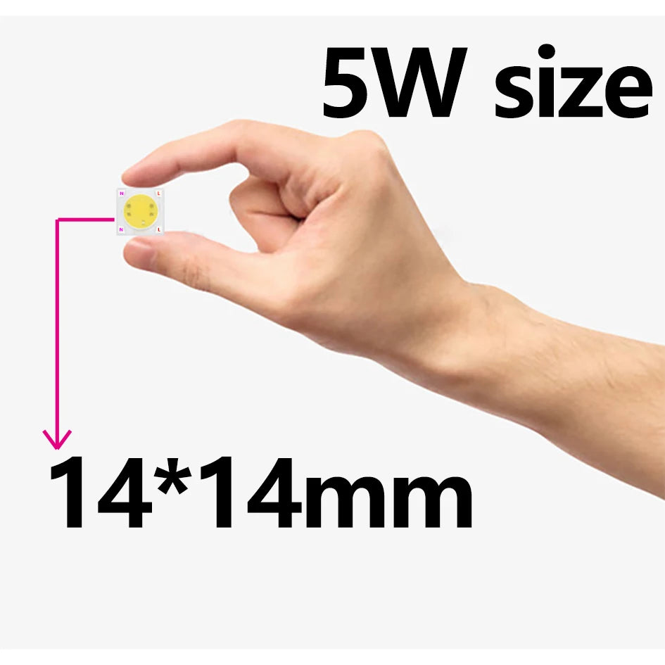LED Chip COB 50W LED Bulb High Power LED 220V 10W 20W 30W 5W Light Bulbs Lamp 220V LED Matrix for Outdoor Floodlight Spotlight