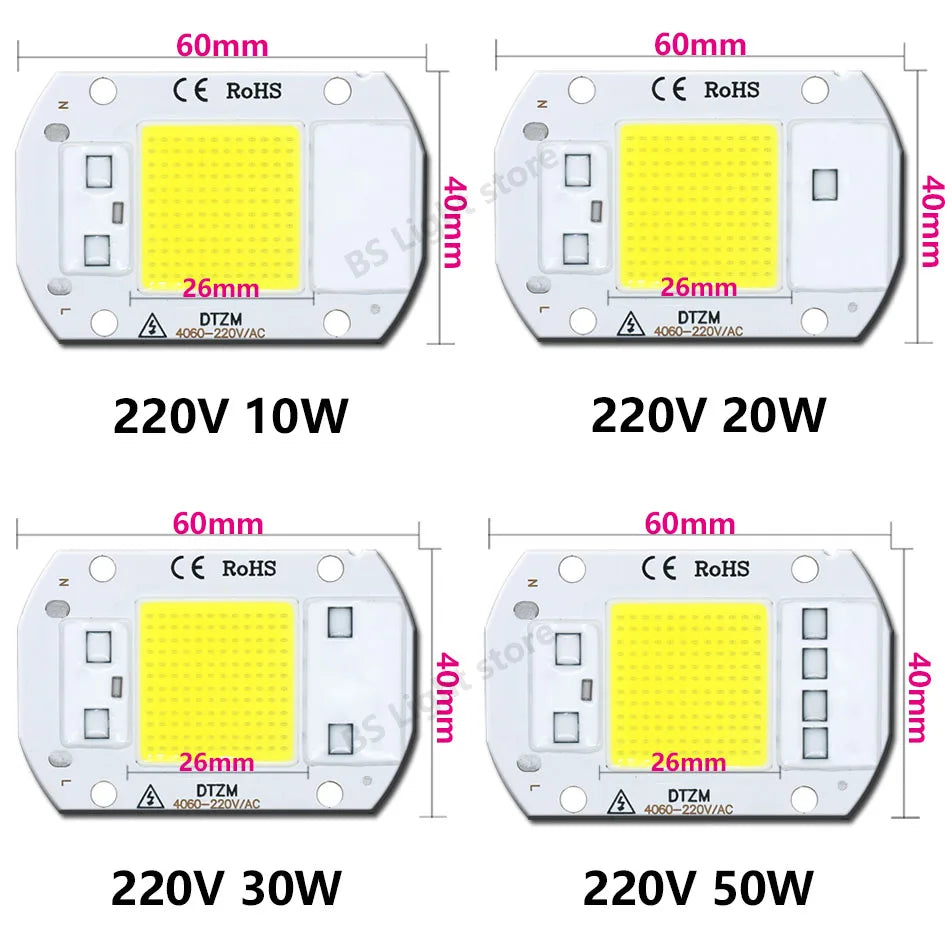 LED Chip COB 50W LED Bulb High Power LED 220V 10W 20W 30W 5W Light Bulbs Lamp 220V LED Matrix for Outdoor Floodlight Spotlight